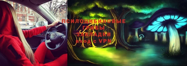 ПСИЛОЦИБИНОВЫЕ ГРИБЫ Беломорск