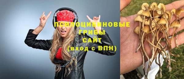 каннабис Белокуриха