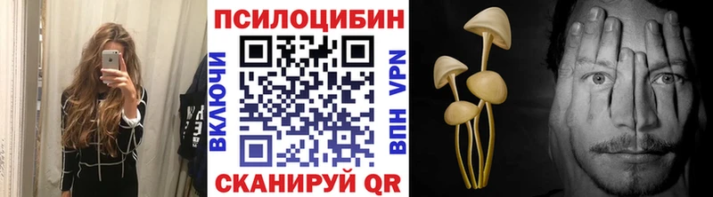 Галлюциногенные грибы Psilocybe  Великий Устюг 