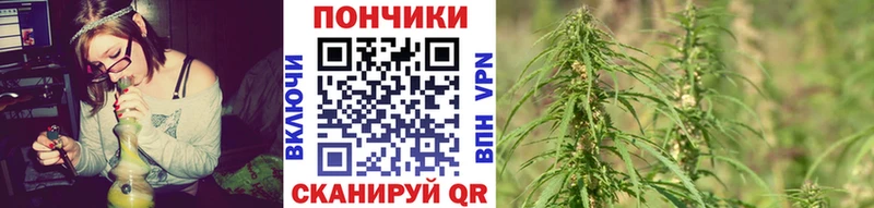 Марихуана ГИДРОПОН  Великий Устюг 